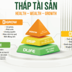 Thông tin về Website Tầm nhìn đầu tư – Trang cung cấp thông tin và kiến thức về tài chính
