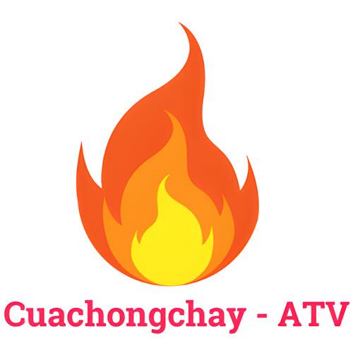 THÔNG TIN VỀ CỬA GỖ CHỐNG CHÁY AN TOÀN VIỆT